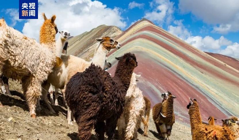 跟着习主席看世界丨“from China to Peru”是个英文成语你知道吗？