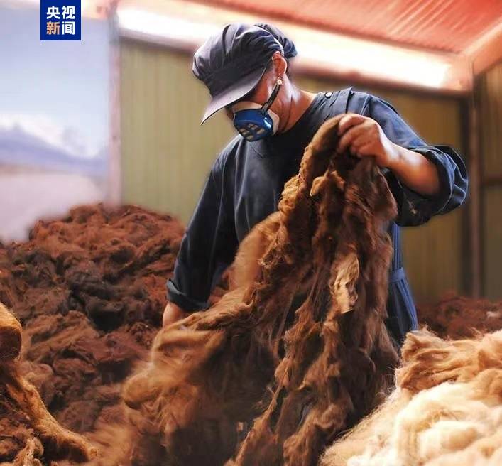 跟着习主席看世界丨“from China to Peru”是个英文成语你知道吗？