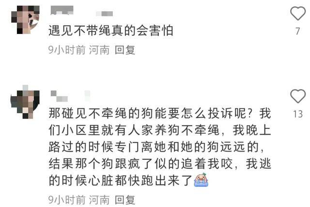 郑州将禁止早晚间遛狗？官方辟谣