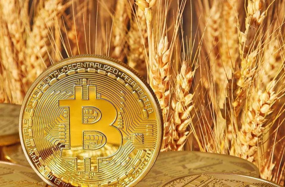 usdt客户资料(usdt交易api)