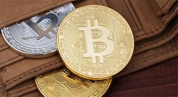 放usdt好用的钱包(什么钱包可以放usdt)