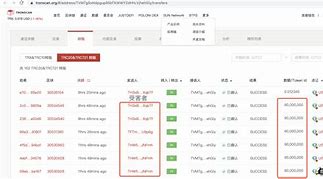 usdt钱包总地址(usdt钱包地址怎么弄)