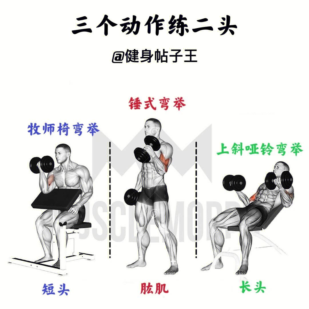usdt搬砖怎么搬(usdt怎么搬砖赚钱)